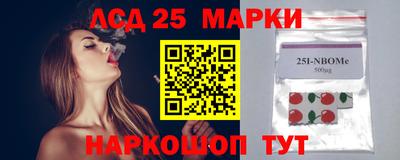 spice Кингисепп