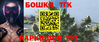 spice Кингисепп