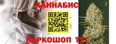 spice Кингисепп