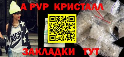 spice Кингисепп