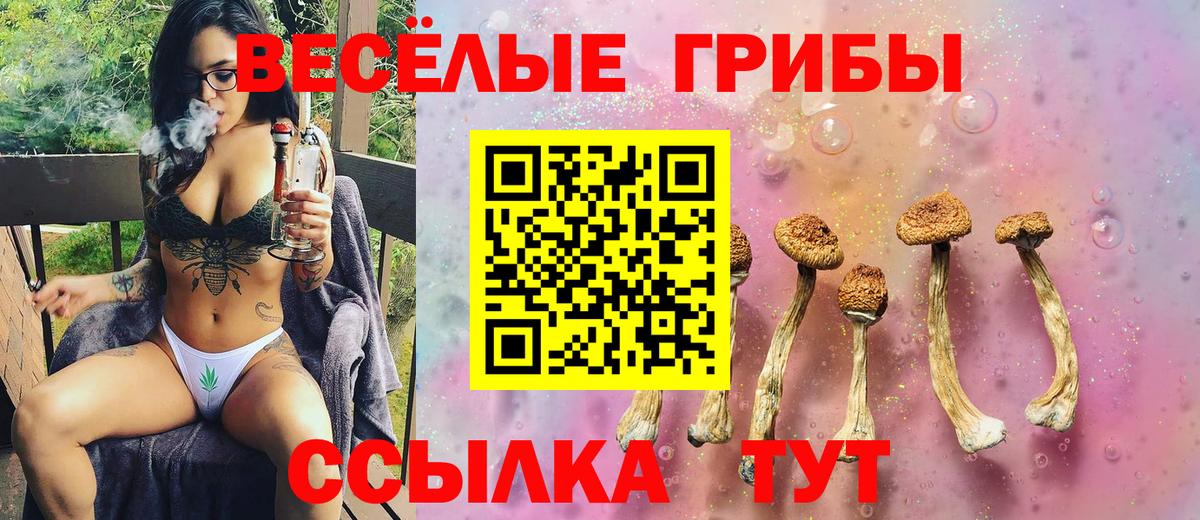 Псилоцибиновые грибы мухоморы  Вход с VPN  Красноармейск 