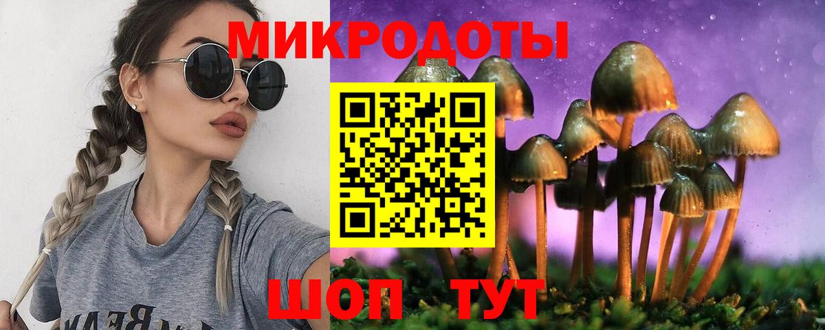 Галлюциногенные грибы Cubensis Красноармейск