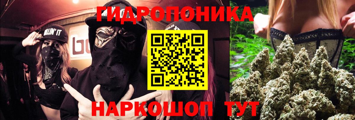 Марихуана план Красноармейск
